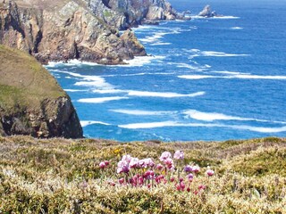 Maison de vacances Plonévez-Porzay Environnement 20