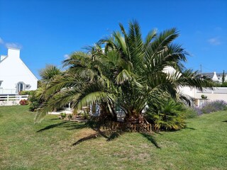 Maison de vacances Bénodet Enregistrement extérieur 8