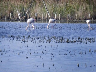 Appartement Bellegarde Environnement 22