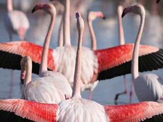 Maison de vacances Bellegarde Environnement 22