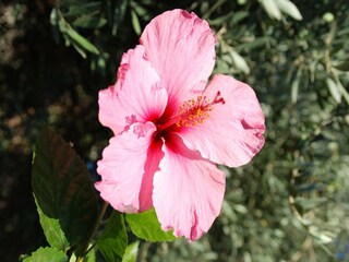 Apartamento Denia  25