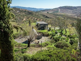 Ferienhaus Villanueva de la Concepción Außenaufnahme 6