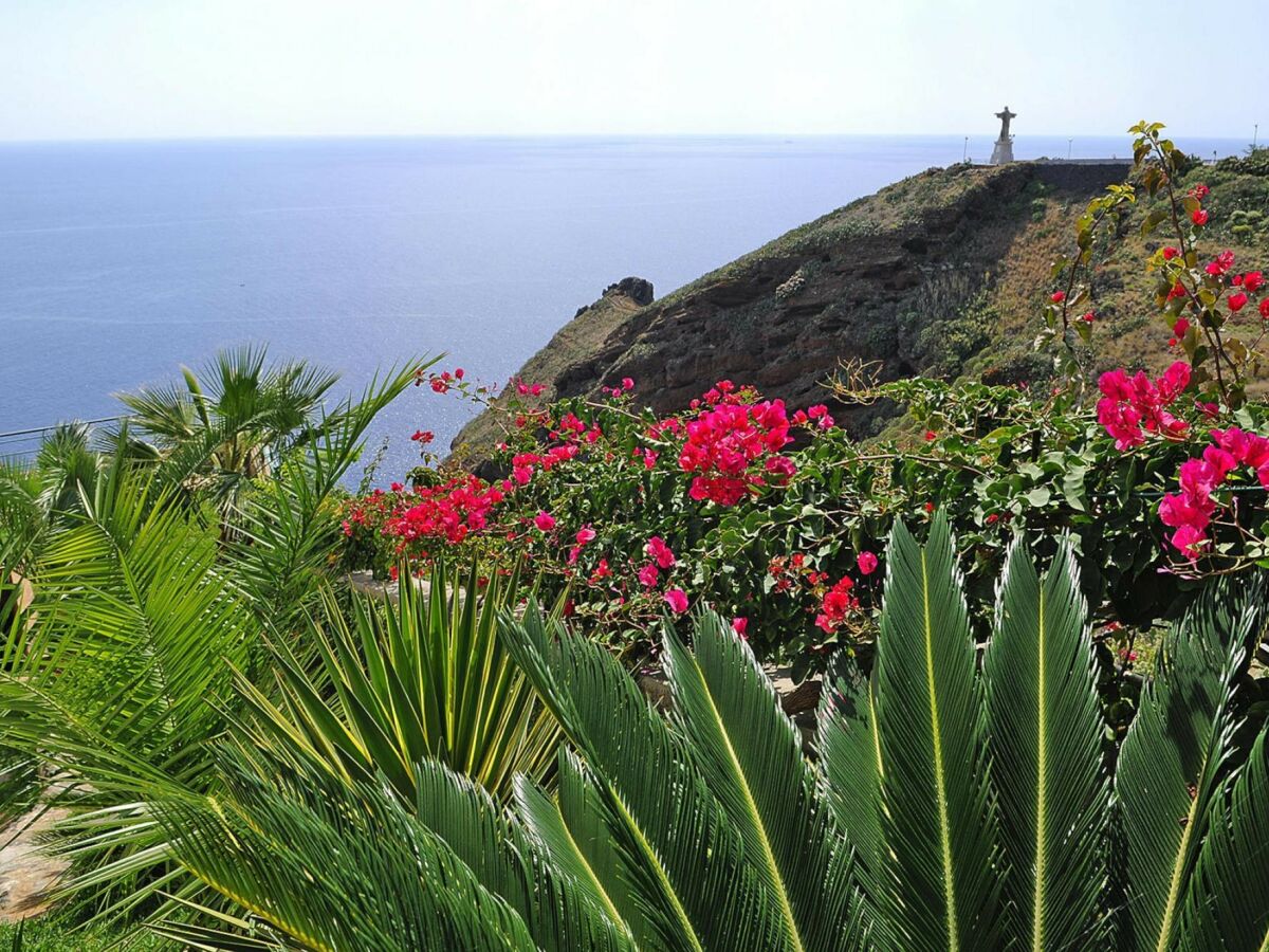 Villa Camacha (Madeira) Außenaufnahme 7