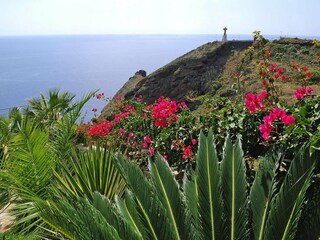 Villa Camacha (Madeira) Enregistrement extérieur 7