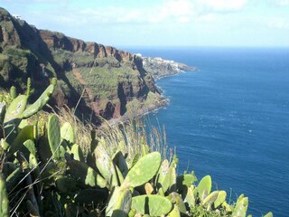 Villa Camacha (Madeira) Außenaufnahme 8