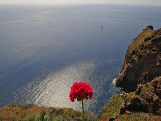 Villa Camacha (Madeira) Ambiente 27