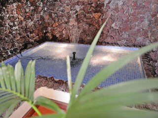 Villa Camacha (Madeira)  29