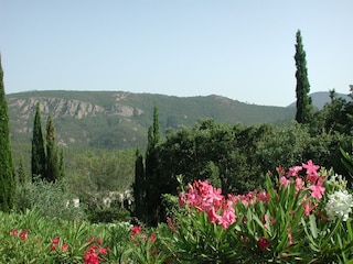 Villa Theoule-sur-Mer Buitenaudio-opname 6