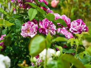 Maison de vacances Villegats  37