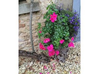 Vakantiehuis Villegats Buitenaudio-opname 10