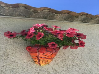 Villa Montbrun-des-Corbières  40