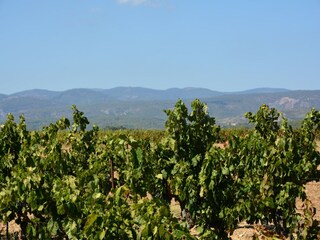 Villa Montbrun-des-Corbières Environment 32