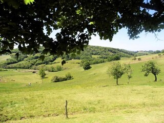 Holiday cottage Chasteaux Environment 37