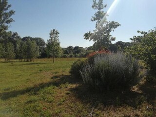 Vakantiehuis Homps Omgeving 31