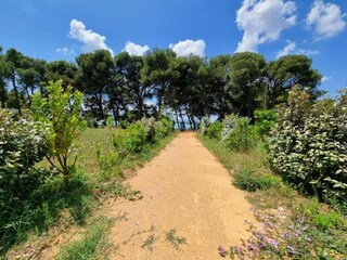 Vakantiehuis Homps Omgeving 27