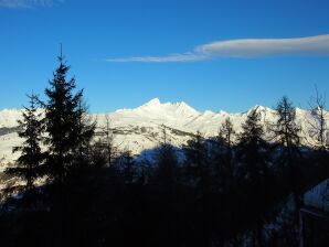 Chalet in Vallandry nahe Paradiski Skigebiet