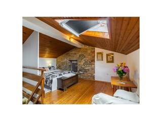 Villa Šišan Caratteristiche 15