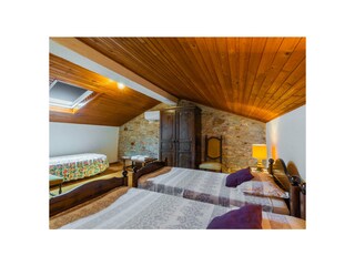 Villa Šišan Caratteristiche 19