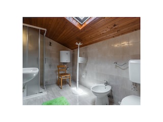 Villa Šišan Caratteristiche 23