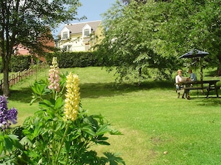 Holiday cottage Jedburgh Outdoor Recording 3