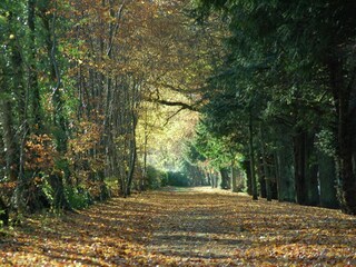 Vakantiehuisje Jedburgh Omgeving 16