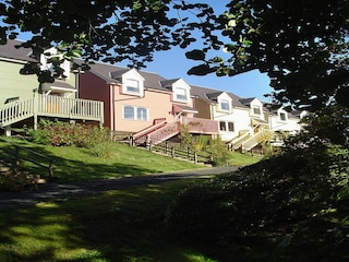 Holiday cottage Jedburgh Environment 30