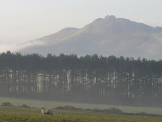 Vakantiehuisje Jedburgh Omgeving 19