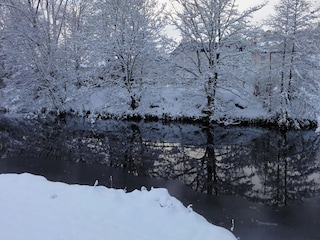 Maison de vacances Jedburgh Environnement 26