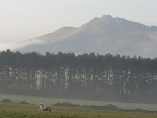 Casa vacanze Jedburgh Ambiente 22