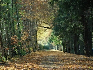 Cottage Jedburgh Umgebung 11