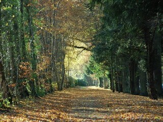 Vakantiehuisje Jedburgh Omgeving 11