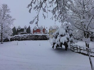 Cottage Jedburgh  38