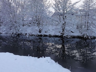 Cottage Jedburgh  39