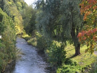 Vakantiehuisje Jedburgh Omgeving 31