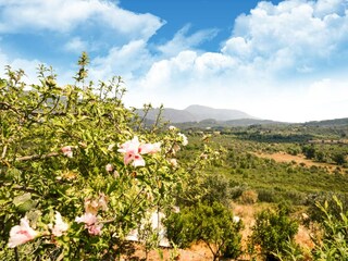 Appartement Liapades Enregistrement extérieur 10