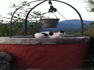 Appartement Liapades  36