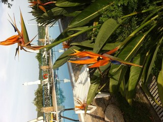 Apartamento Liapades Grabación al aire libre 6