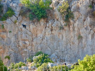 Villa Afantou Entorno 35