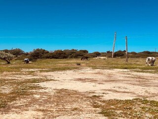 Villa Afantou Omgeving 36