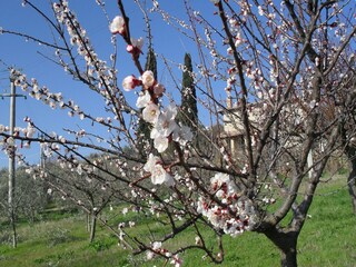 Farmhouse Gualdo Cattaneo Outdoor Recording 10