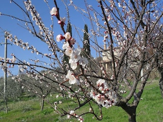 Farmhouse Gualdo Cattaneo Outdoor Recording 7