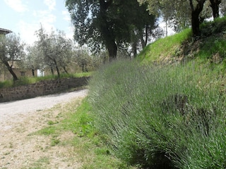 Bauernhof Gualdo Cattaneo Außenaufnahme 18