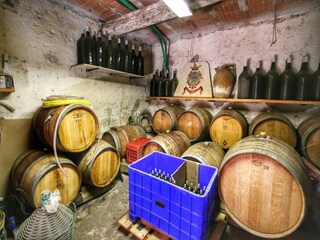 Boerderij Gualdo Cattaneo  37