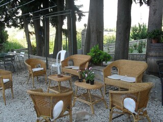 Type de propriété : Ferme Gualdo Cattaneo Enregistrement extérieur 14