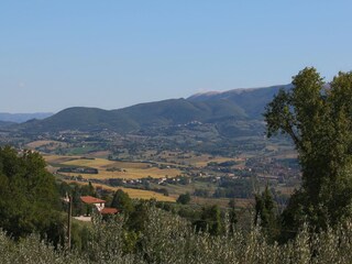Fattoria Gualdo Cattaneo Ambiente 37