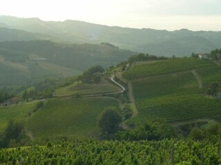 Apartment Modigliana Environment 35