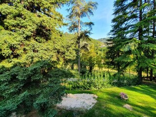 Apartamento Modigliana Entorno 37