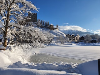 der Burgsee im Winter