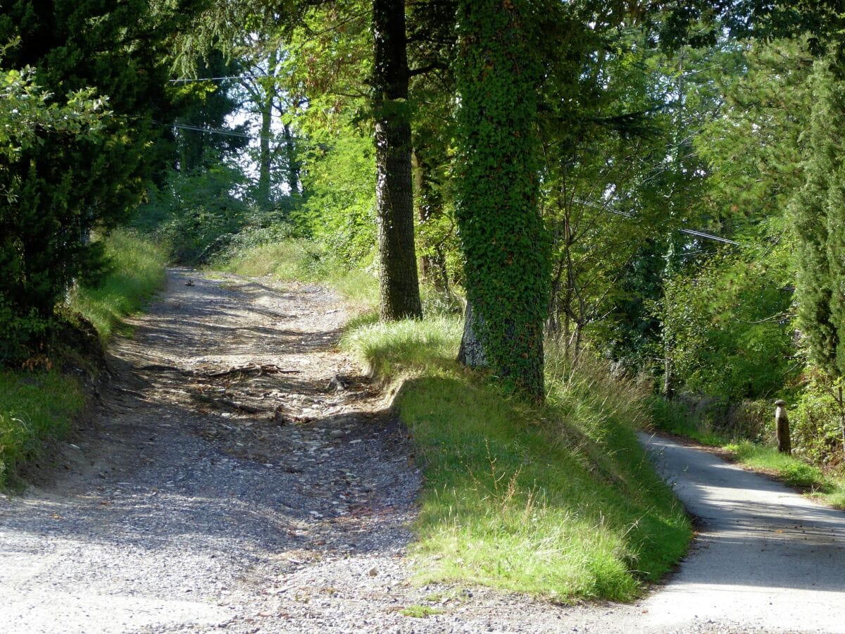 Ferienhaus Barberino di Mugello Umgebung 18