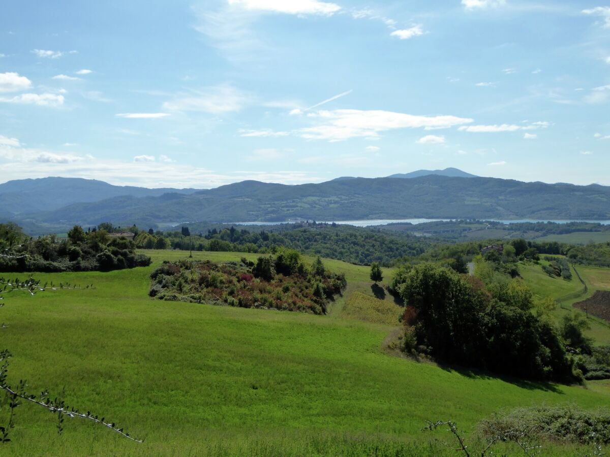 Ferienhaus Barberino di Mugello Umgebung 19